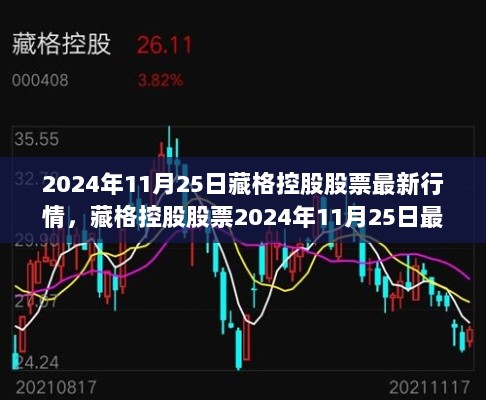 2024年11月25日藏格控股股票最新行情解析