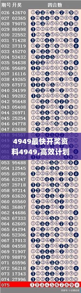 4949最快开奖资料4949,高效计划实施_演讲版SXY7.74