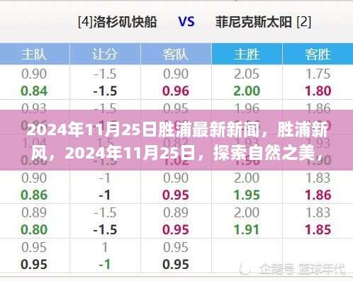 2024年11月25日胜浦新风，探索自然之美，寻找内心的平静新闻报道