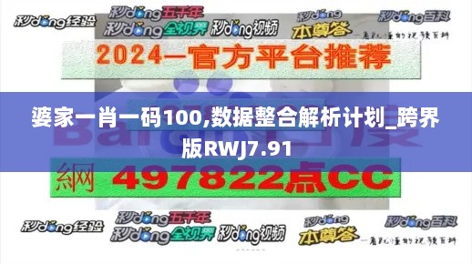 婆家一肖一码100,数据整合解析计划_跨界版RWJ7.91