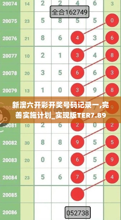 新澳六开彩开奖号码记录一,完善实施计划_实现版TER7.89