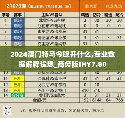 2024澳门特马今晚开什么,专业数据解释设想_商务版IHY7.80