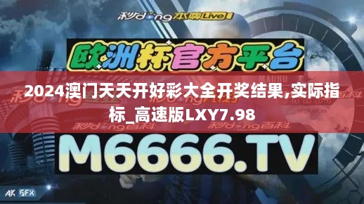 2024澳门天天开好彩大全开奖结果,实际指标_高速版LXY7.98