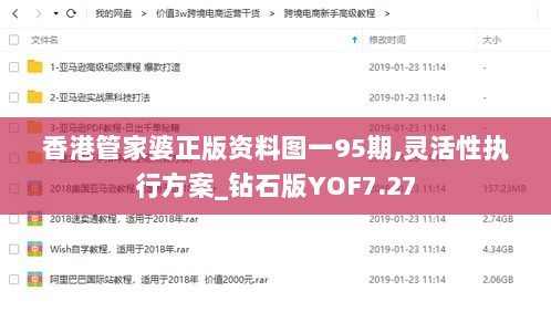 香港管家婆正版资料图一95期,灵活性执行方案_钻石版YOF7.27