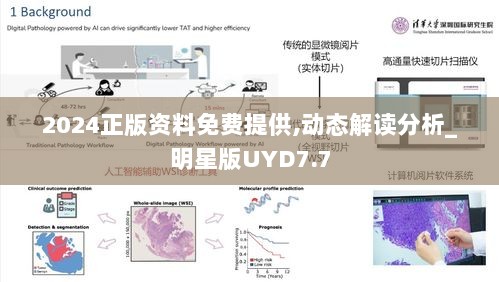 2024正版资料免费提供,动态解读分析_明星版UYD7.7