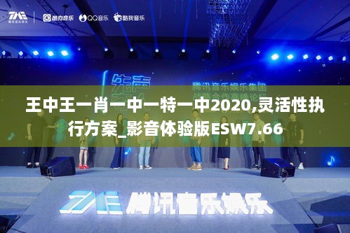 王中王一肖一中一特一中2020,灵活性执行方案_影音体验版ESW7.66