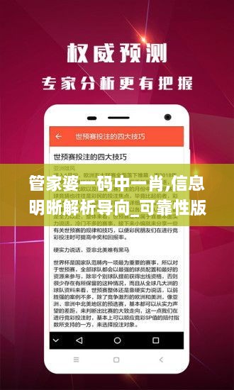 管家婆一码中一肖,信息明晰解析导向_可靠性版FYY7.59