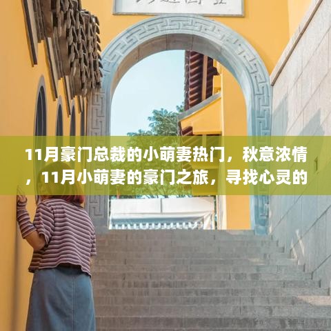 11月豪门之旅，小萌妻的心灵绿洲