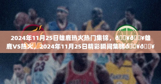 2024年11月25日，雄鹿VS热火精彩瞬间集锦