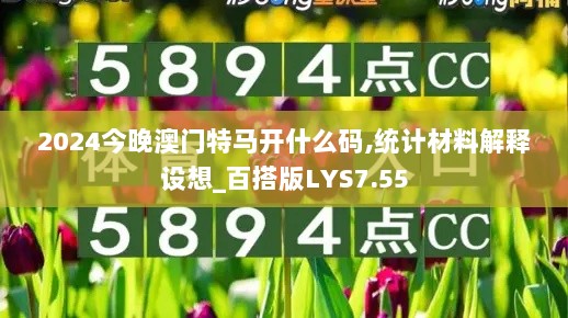 2024今晚澳门特马开什么码,统计材料解释设想_百搭版LYS7.55