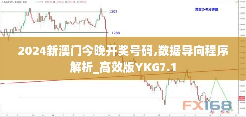 2024新澳门今晚开奖号码,数据导向程序解析_高效版YKG7.1