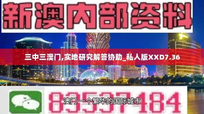 三中三澳门,实地研究解答协助_私人版XXD7.36