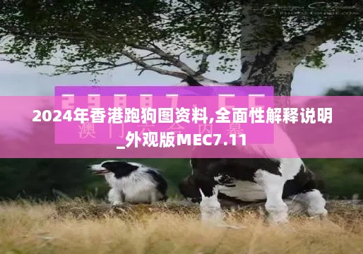 2024年香港跑狗图资料,全面性解释说明_外观版MEC7.11