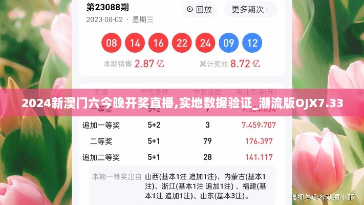 2024新澳门六今晚开奖直播,实地数据验证_潮流版OJX7.33