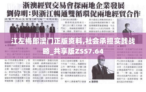 江左梅郎澳门正版资料,社会承担实践战略_共享版ZSS7.64