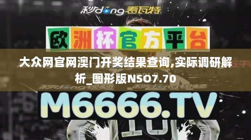 大众网官网澳门开奖结果查询,实际调研解析_图形版NSO7.70