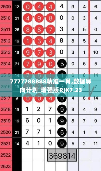 7777788888精准一肖,数据导向计划_增强版RJK7.23