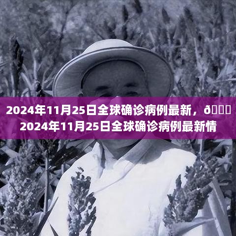 2024年11月25日全球确诊病例最新情况解析与趋势分析📊💉