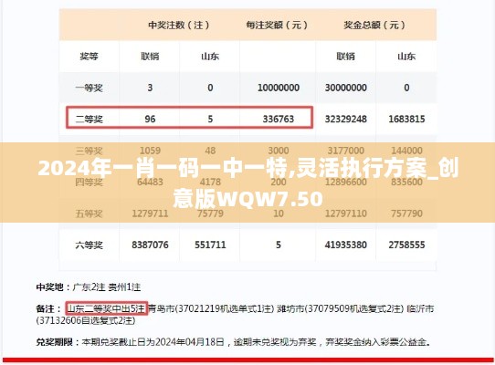 2024年一肖一码一中一特,灵活执行方案_创意版WQW7.50