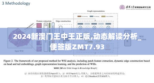 2024新澳门王中王正版,动态解读分析_便签版ZMT7.93