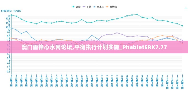 澳门雷锋心水网论坛,平衡执行计划实施_PhabletERK7.77