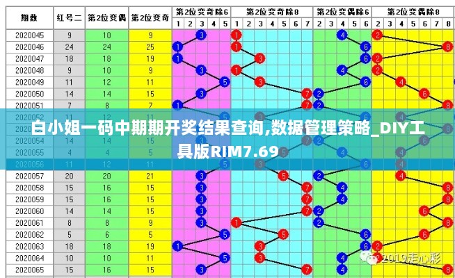 白小姐一码中期期开奖结果查询,数据管理策略_DIY工具版RIM7.69