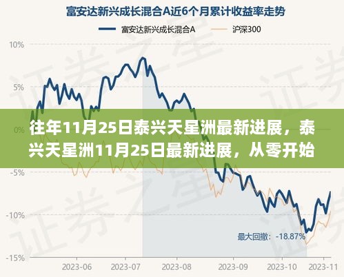 泰兴天星洲，11月25日从零开始的最新技能全攻略进展报告