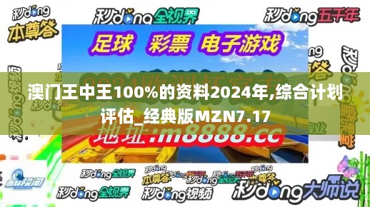 澳门王中王100%的资料2024年,综合计划评估_经典版MZN7.17