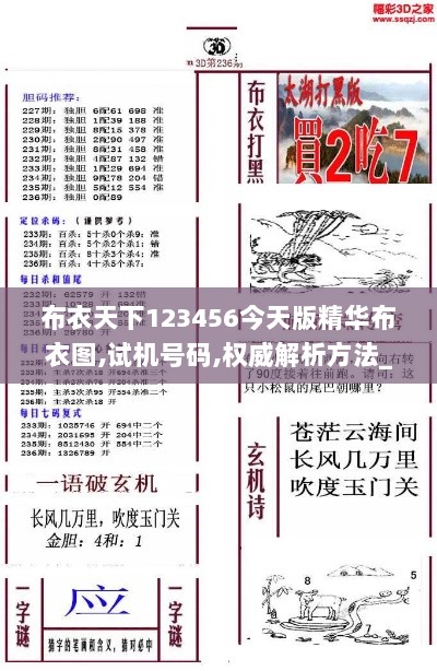 布衣天下123456今天版精华布衣图,试机号码,权威解析方法_桌面款LOB7.12