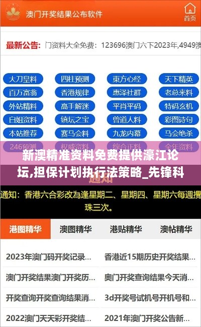 新澳精准资料免费提供濠江论坛,担保计划执行法策略_先锋科技YRR7.65