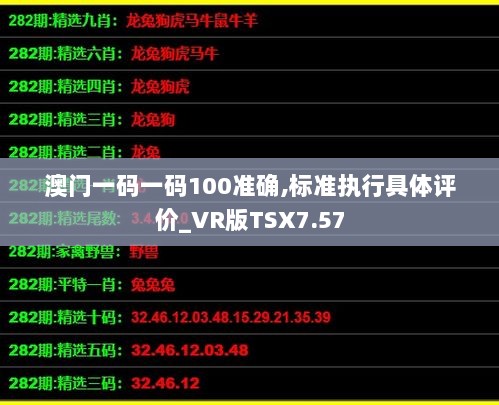 澳门一码一码100准确,标准执行具体评价_VR版TSX7.57