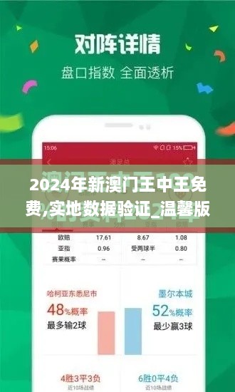 2024年新澳门王中王免费,实地数据验证_温馨版DYO7.16