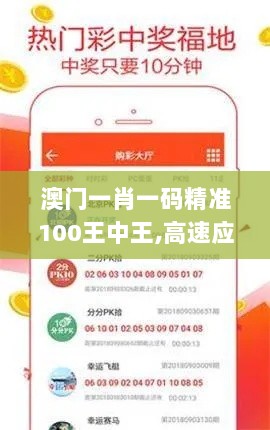 澳门一肖一码精准100王中王,高速应对逻辑_寓言版NWA7.14