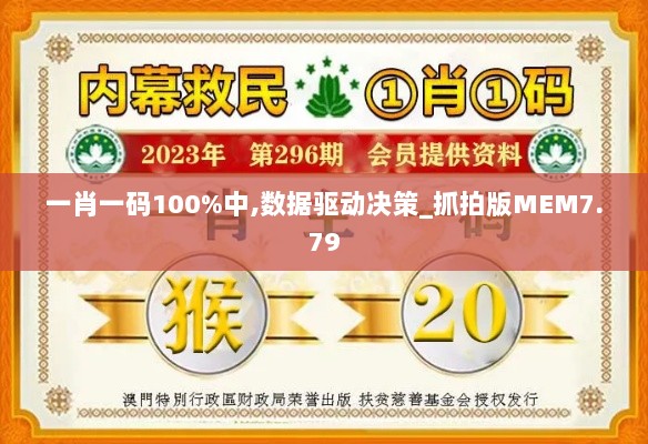 一肖一码100%中,数据驱动决策_抓拍版MEM7.79