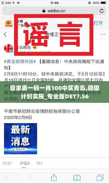 管家婆一码一肖100中奖青岛,稳固计划实施_专业版DET7.56