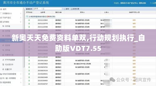 新奥天天免费资料单双,行动规划执行_自助版VDT7.55