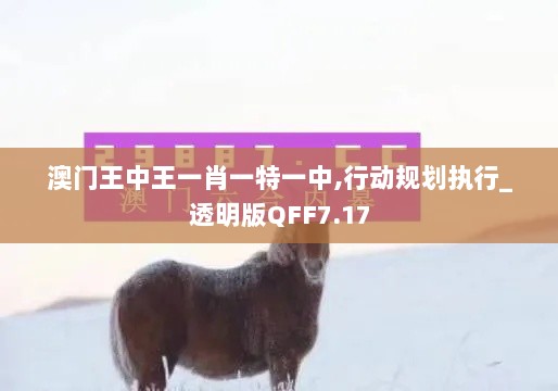 澳门王中王一肖一特一中,行动规划执行_透明版QFF7.17