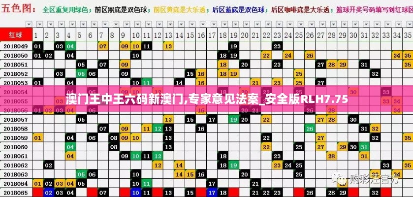 澳门王中王六码新澳门,专家意见法案_安全版RLH7.75