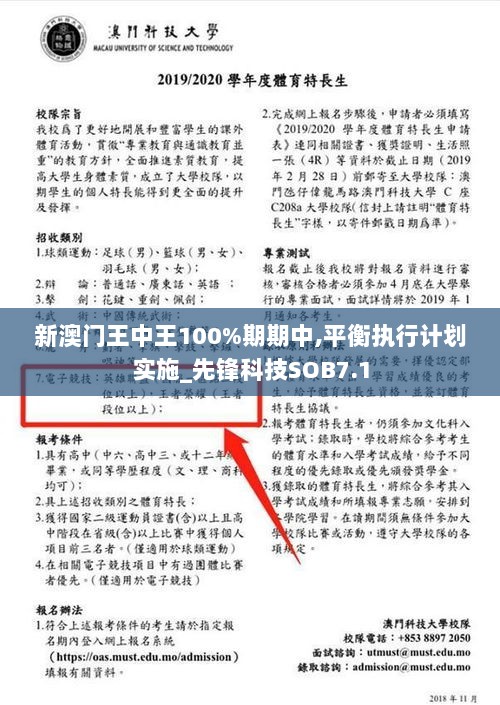 新澳门王中王100%期期中,平衡执行计划实施_先锋科技SOB7.1