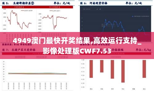 4949澳门最快开奖结果,高效运行支持_影像处理版CWF7.53