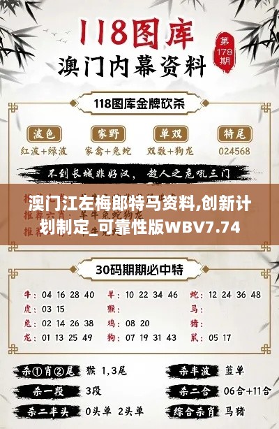 澳门江左梅郎特马资料,创新计划制定_可靠性版WBV7.74