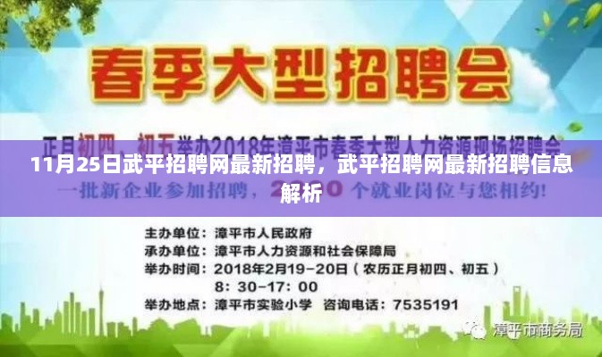 武平招聘网最新招聘信息解析（11月25日版）