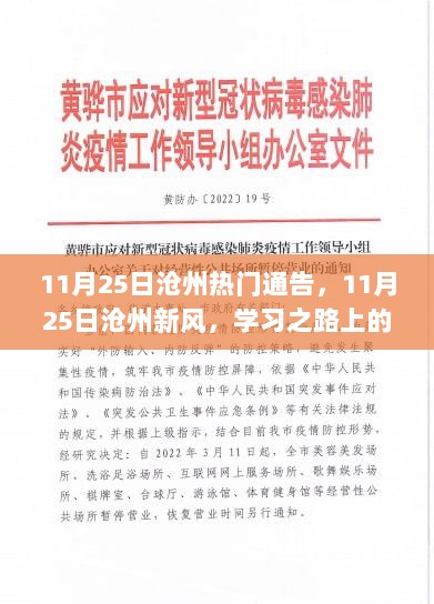 11月25日沧州通告新风与成长之路上的自信与成就