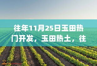 往昔11月25日玉田热土，深度回望开发历程