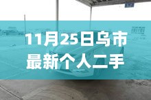 11月25日乌市小巷中的个人二手车探秘之旅，寻找隐藏宝藏的独特天地