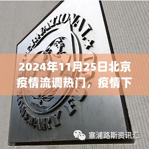 2024年11月25日北京疫情流调之路，蜕变与挑战的交汇点