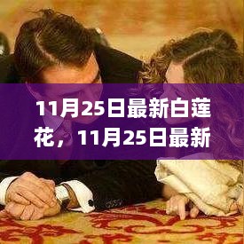 11月25日最新白莲花解析，从流行文化到生活美学的探索