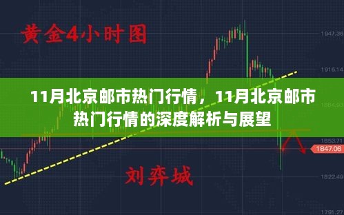 11月北京邮市热门行情深度解析与展望