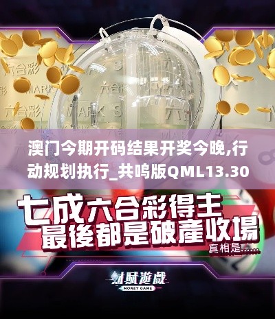 澳门今期开码结果开奖今晚,行动规划执行_共鸣版QML13.30