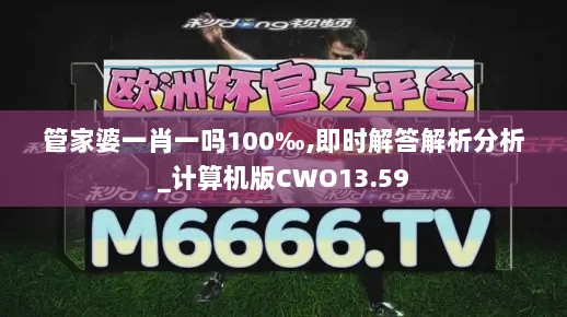 管家婆一肖一吗100‰,即时解答解析分析_计算机版CWO13.59